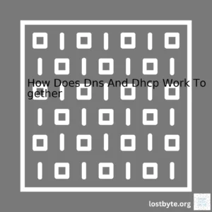 How Does Dns And Dhcp Work Together