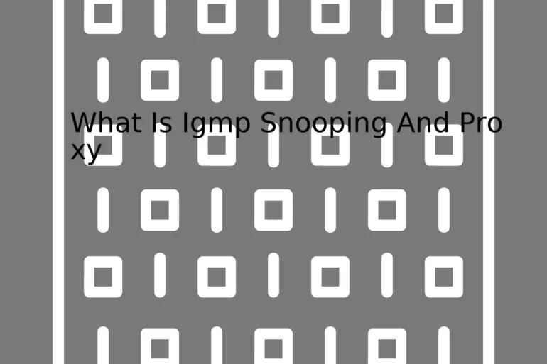 What Is Igmp Snooping And Proxy