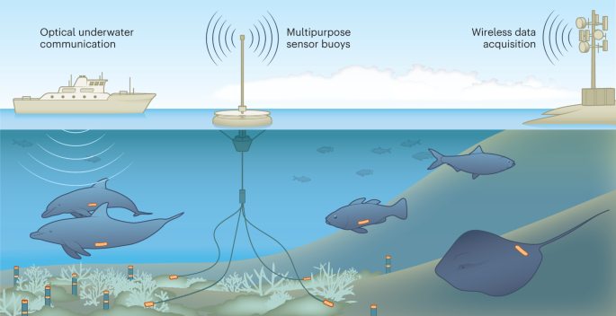 CSS animation code on screen - 39 Awesome CSS Animation Examples with Demos + Code
