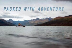 Taming Rogue RL Agents in SDN-IoT Networks